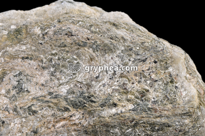 Micaschiste à chlorite et muscovite (Ile de Groix) - détail - gryphea.com